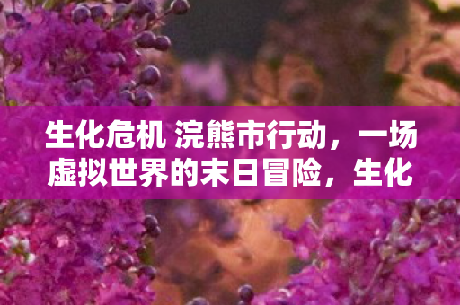 生化危机 浣熊市行动，一场虚拟世界的末日冒险，生化危机，浣熊市行动——虚拟世界的末日冒险之旅