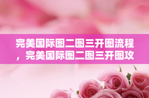 完美国际图二图三开图流程图片