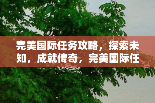 完美国际任务全攻略图片