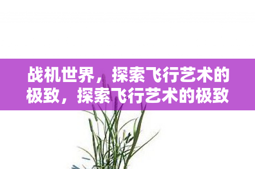 战机世界，探索飞行艺术的极致，探索飞行艺术的极致，战机世界