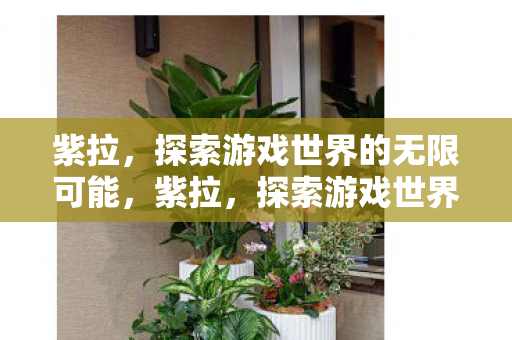 紫拉,探索游戏世界的无限可能,紫拉,探索游戏世界的无限可能 紫拉,探索游戏世界的无限可能,紫拉,探索游戏世界的无限可能