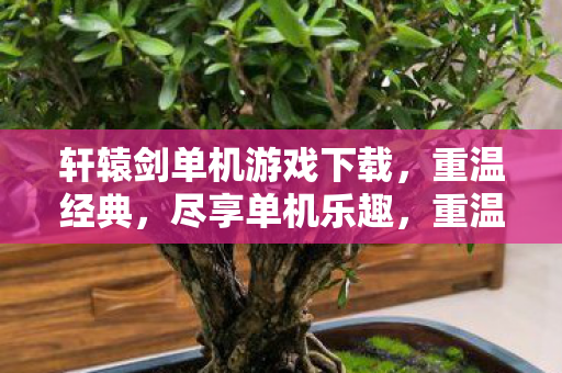 轩辕剑单机游戏下载,重温经典,尽享单机乐趣,重温经典轩辕剑,单机游戏下载尽享乐趣 轩辕剑单机游戏下载,重温经典,尽享单机乐趣,重温经典轩辕剑,单机游戏下载尽享乐趣