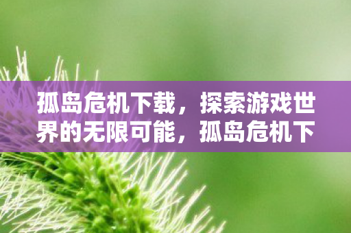 孤岛危机下载,探索游戏世界的无限可能,孤岛危机下载,探索游戏世界的无限可能 孤岛危机下载,探索游戏世界的无限可能,孤岛危机下载,探索游戏世界的无限可能