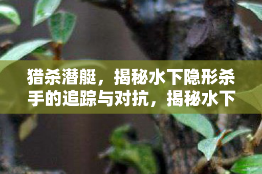 猎杀潜艇,揭秘水下隐形杀手的追踪与对抗,揭秘水下隐形杀手的追踪与对抗,猎杀潜艇 猎杀潜艇,揭秘水下隐形杀手的追踪与对抗,揭秘水下隐形杀手的追踪与对抗,猎杀潜艇