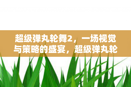 超级弹丸轮舞2，一场视觉与策略的盛宴，超级弹丸轮舞2，视觉与策略的双重盛宴