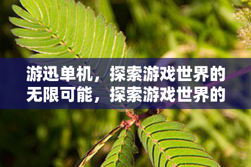 游迅单机，探索游戏世界的无限可能，探索游戏世界的无限可能，游迅单机