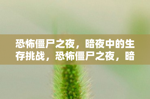 恐怖僵尸之夜，暗夜中的生存挑战，恐怖僵尸之夜，暗夜中的生存挑战