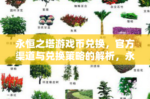 永恒之塔游戏币兑换策略全解析图片