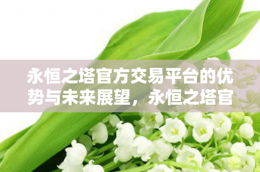 永恒之塔官方交易平台的优势与未来展望图片