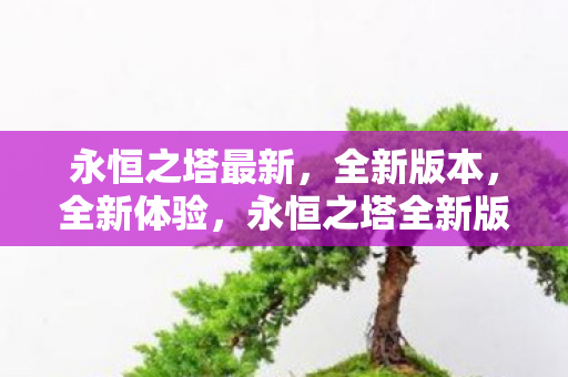 永恒之塔全新版本上线图片
