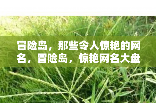冒险岛，那些令人惊艳的网名，冒险岛，惊艳网名大盘点