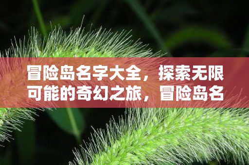 冒险岛名字大全，探索无限可能的奇幻之旅，冒险岛名字大全，开启你的奇幻之旅