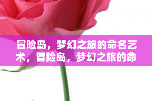 梦幻之旅的命名艺术图片