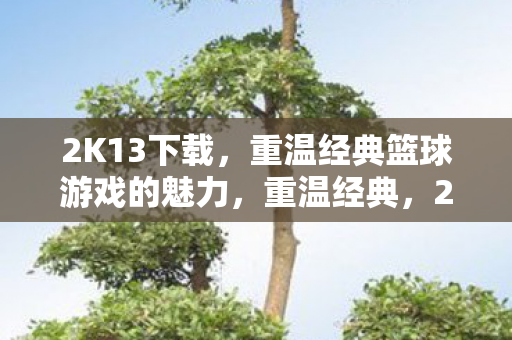 2K13下载,重温经典篮球游戏的魅力,重温经典,2K13下载,感受篮球游戏的独特魅力 2K13下载,重温经典篮球游戏的魅力,重温经典,2K13下载,感受篮球游戏的独特魅力