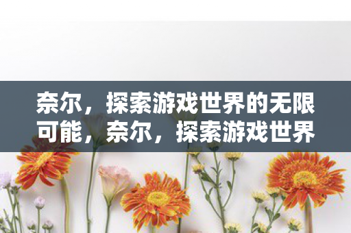 奈尔，探索游戏世界的无限可能，奈尔，探索游戏世界的无限可能