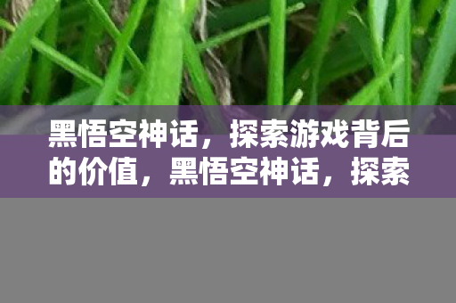 黑悟空神话，探索游戏背后的价值，黑悟空神话，探索游戏背后的价值与文化内涵