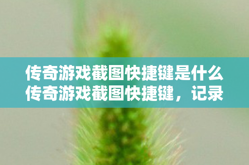 传奇游戏截图快捷键是什么传奇游戏截图快捷键,记录经典瞬间,分享传奇故事,传奇游戏截图快捷键,记录经典瞬间,分享传奇故事 传奇游戏截图快捷键是什么传奇游戏截图快捷键,记录经典瞬间,分享传奇故事,传奇游戏截图快捷键,记录经典瞬间,分享传奇故事