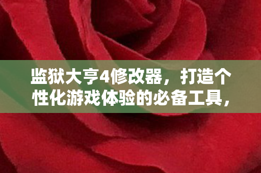 监狱大亨4修改器，打造个性化游戏体验的必备工具，监狱大亨4修改器，打造个性化游戏体验的必备工具