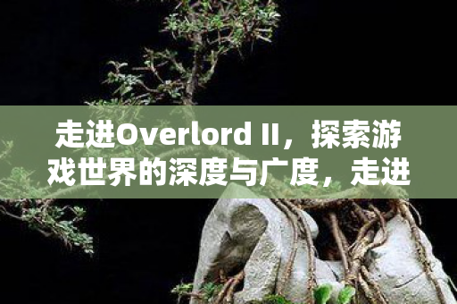 走进Overlord II，探索游戏世界的深度与广度，走进Overlord II，探索游戏世界的深度与广度