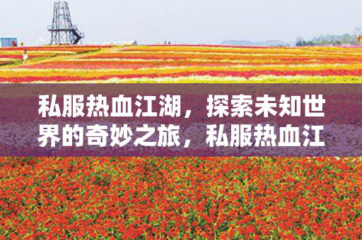 私服热血江湖，探索未知世界的奇妙之旅，私服热血江湖，探索未知世界的奇妙冒险