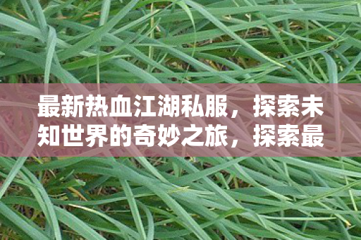 最新热血江湖私服，探索未知世界的奇妙之旅，探索最新热血江湖私服，开启奇妙冒险之旅