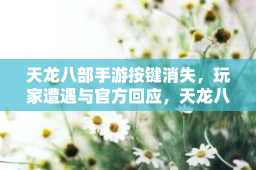 天龙八部手游按键消失，玩家遭遇与官方回应，天龙八部手游按键消失引发玩家困扰，官方回应处理