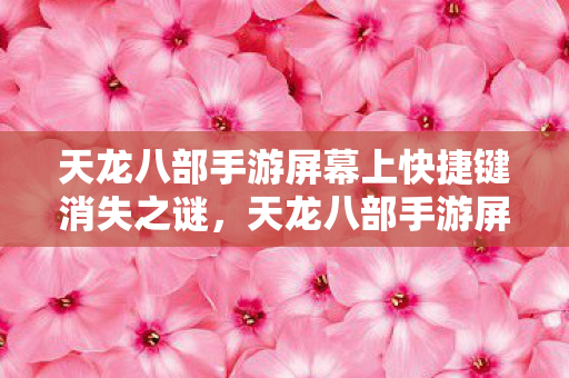 天龙八部手游屏幕上快捷键消失之谜,天龙八部手游屏幕快捷键神秘消失,玩家纷纷猜测原因 天龙八部手游屏幕上快捷键消失之谜,天龙八部手游屏幕快捷键神秘消失,玩家纷纷猜测原因