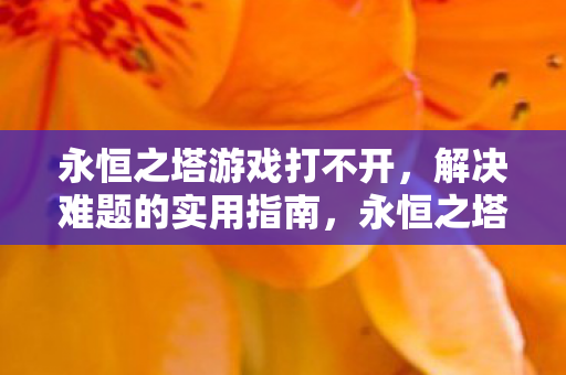 永恒之塔游戏打不开怎么办图片
