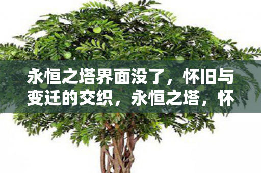 永恒之塔界面没了图片