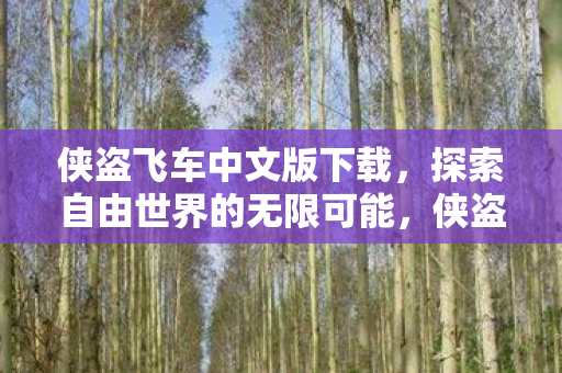 侠盗飞车中文版下载，探索自由世界的无限可能，侠盗飞车中文版，探索自由世界的无限可能
