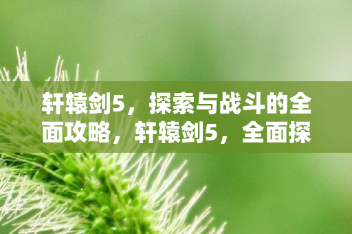 轩辕剑5，探索与战斗的全面攻略，轩辕剑5，全面探索与战斗攻略
