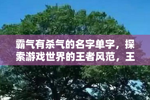 探索游戏世界的王者风范图片