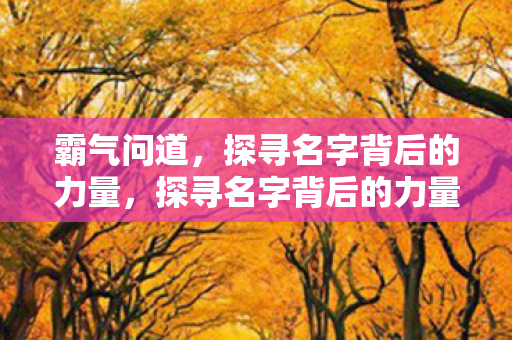 霸气问道，探寻名字背后的力量，探寻名字背后的力量，霸气问道