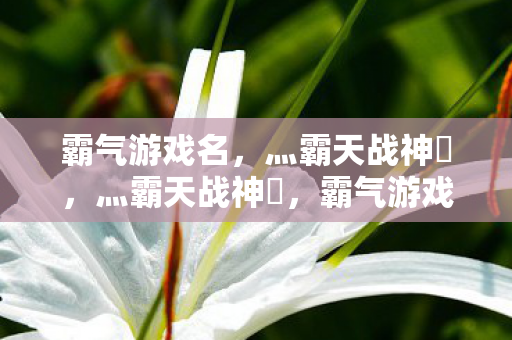 霸气游戏名，灬霸天战神乄，灬霸天战神乄，霸气游戏名，引领潮流