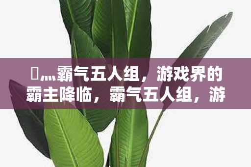 乄灬霸气五人组，游戏界的霸主降临，霸气五人组，游戏界的霸主震撼登场