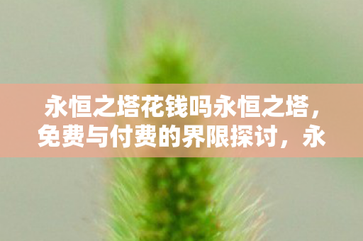 永恒之塔花钱吗永恒之塔，免费与付费的界限探讨，永恒之塔，免费与付费的界限探讨
