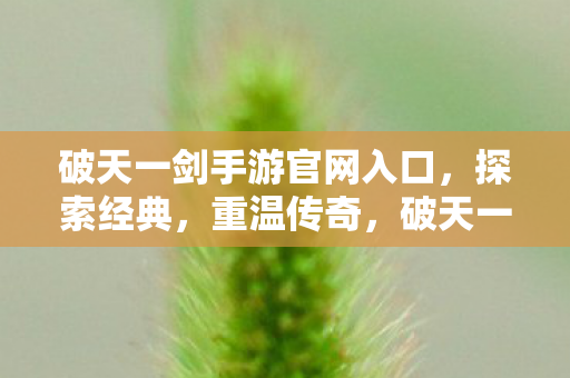 破天一剑手游官网入口图片