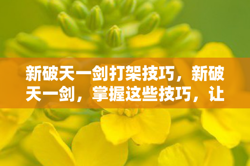 新破天一剑打架技巧图片