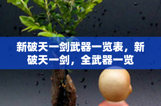 新破天一剑武器一览表图片