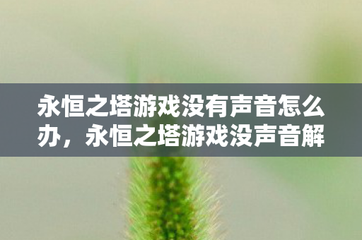 永恒之塔游戏没有声音怎么办图片
