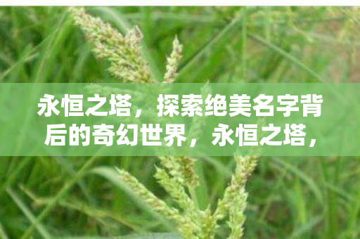 探索绝美名字背后的奇幻世界图片