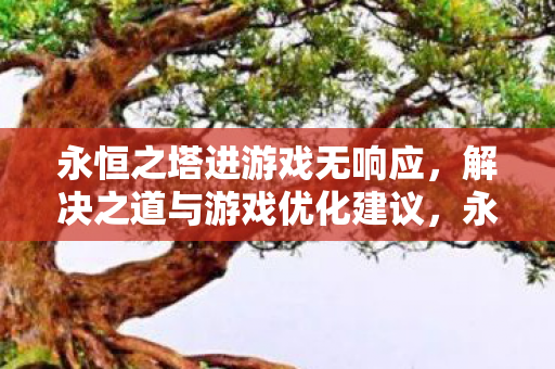 永恒之塔游戏无响应的解决之道与优化建议图片