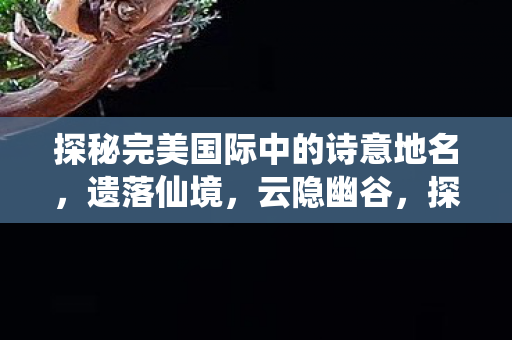 探秘完美国际中的诗意地名图片