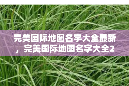 完美国际地图名字大全2023图片