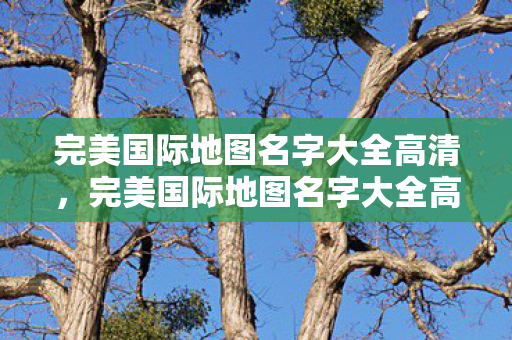 完美国际地图名字大全高清图片