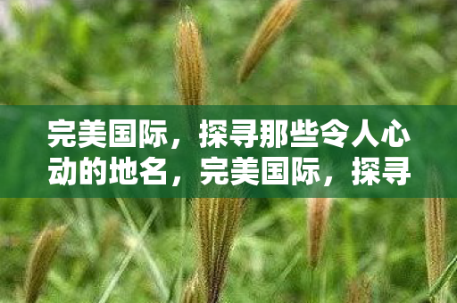 探寻那些令人心动的地名图片