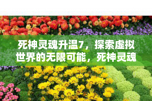 死神灵魂升温7,探索虚拟世界的无限可能,死神灵魂升温7,探索虚拟世界的无限可能 死神灵魂升温7,探索虚拟世界的无限可能,死神灵魂升温7,探索虚拟世界的无限可能