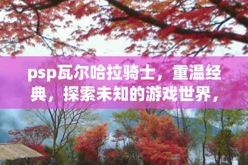 psp瓦尔哈拉骑士，重温经典，探索未知的游戏世界，瓦尔哈拉骑士，重温经典，探索未知游戏世界