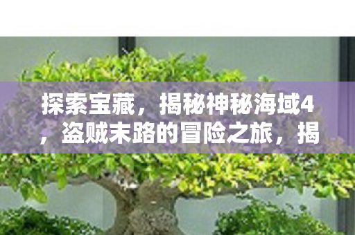 探索宝藏，揭秘神秘海域4，盗贼末路的冒险之旅，揭秘神秘海域4，盗贼末路的冒险之旅