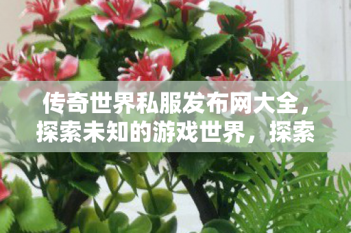 探索传奇世界私服发布网大全图片